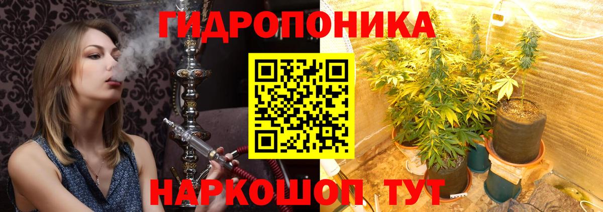 Новороссийск  Марихуана план  Бошки марихуана MAZAR  Вход с VPN 